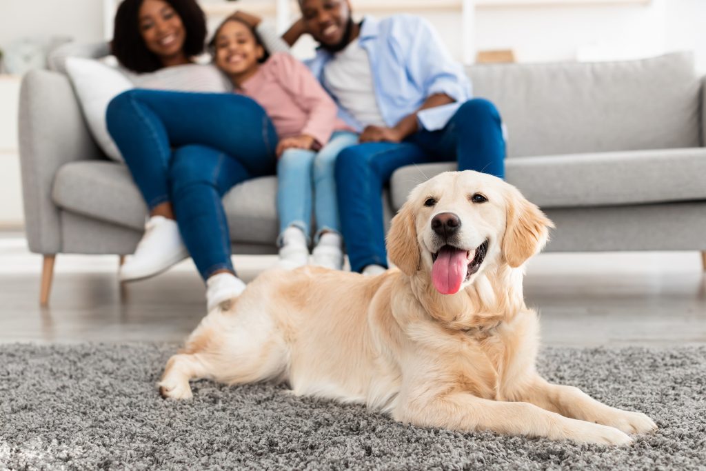 Costs of Having a Family Pet