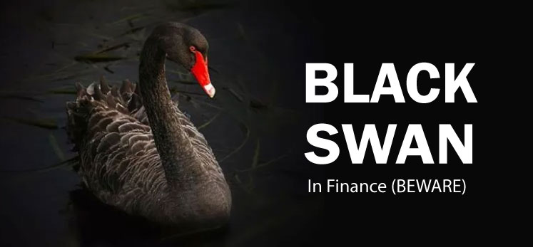 Black Swan- educounting.com