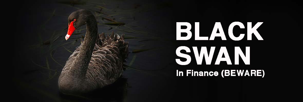 Black Swans don't - EduCounting