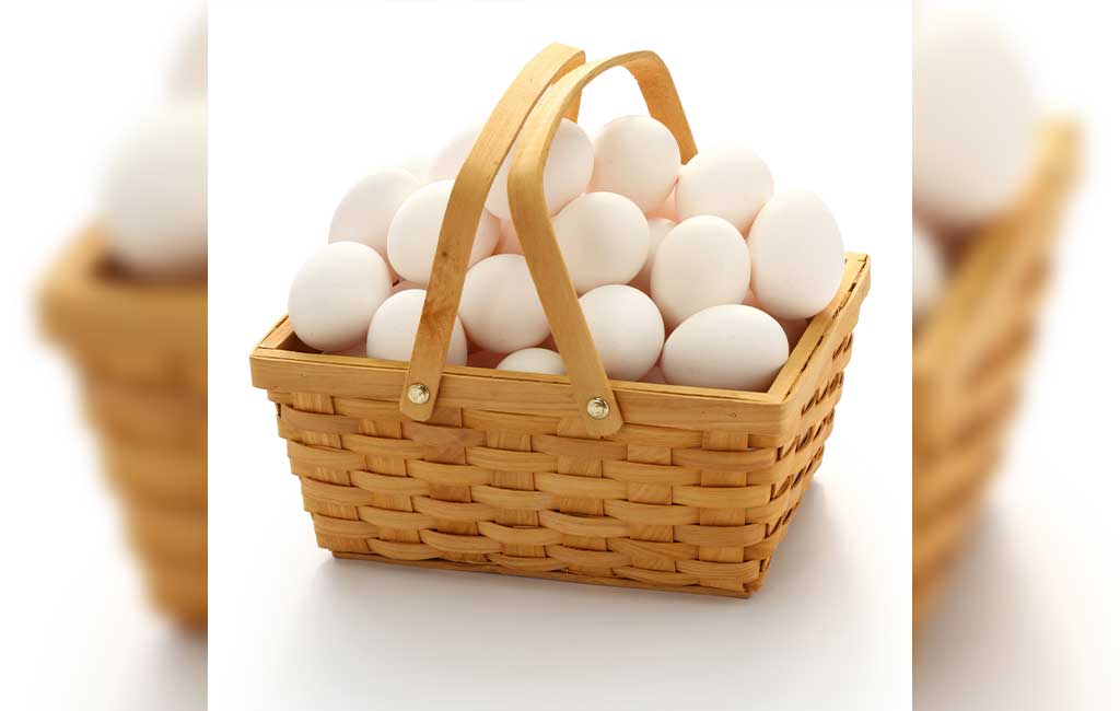 Buying Egg to Support Family Child Financial Advice