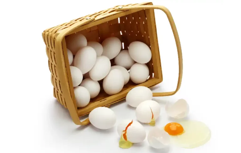 Don't Placing All Your Eggs in One Basket