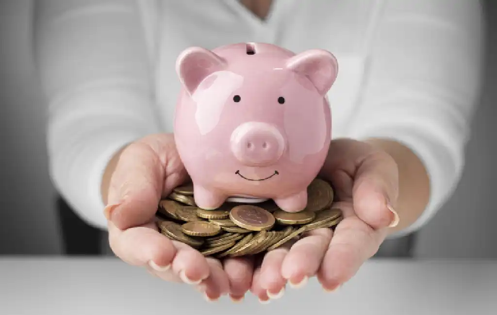 Implement Your Budget With Savings and Expenses With a Piggy Bank