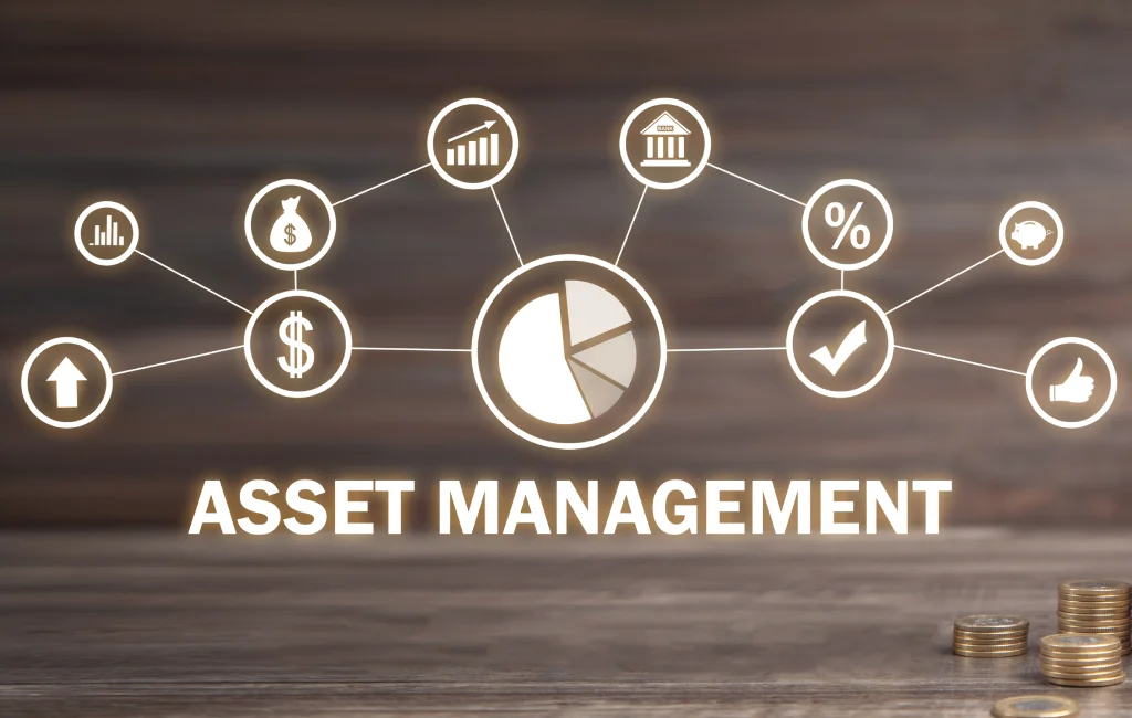 What is Asset Management