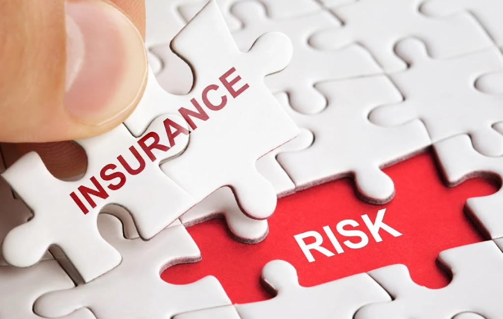 Insurance Risk Management