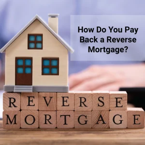 how do you pay back a reverse mortgage